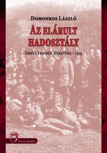 AZ ELÁRULT HADOSZTÁLY - ERDÉLY, FELVIDÉK, MURAVIDÉK - 1919